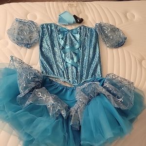 Small Cinderella Halloween Costume